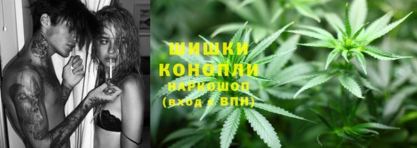 ГАЛЛЮЦИНОГЕННЫЕ ГРИБЫ Алексин