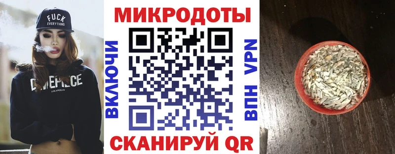 Псилоцибиновые грибы Psilocybine cubensis  Боровск 
